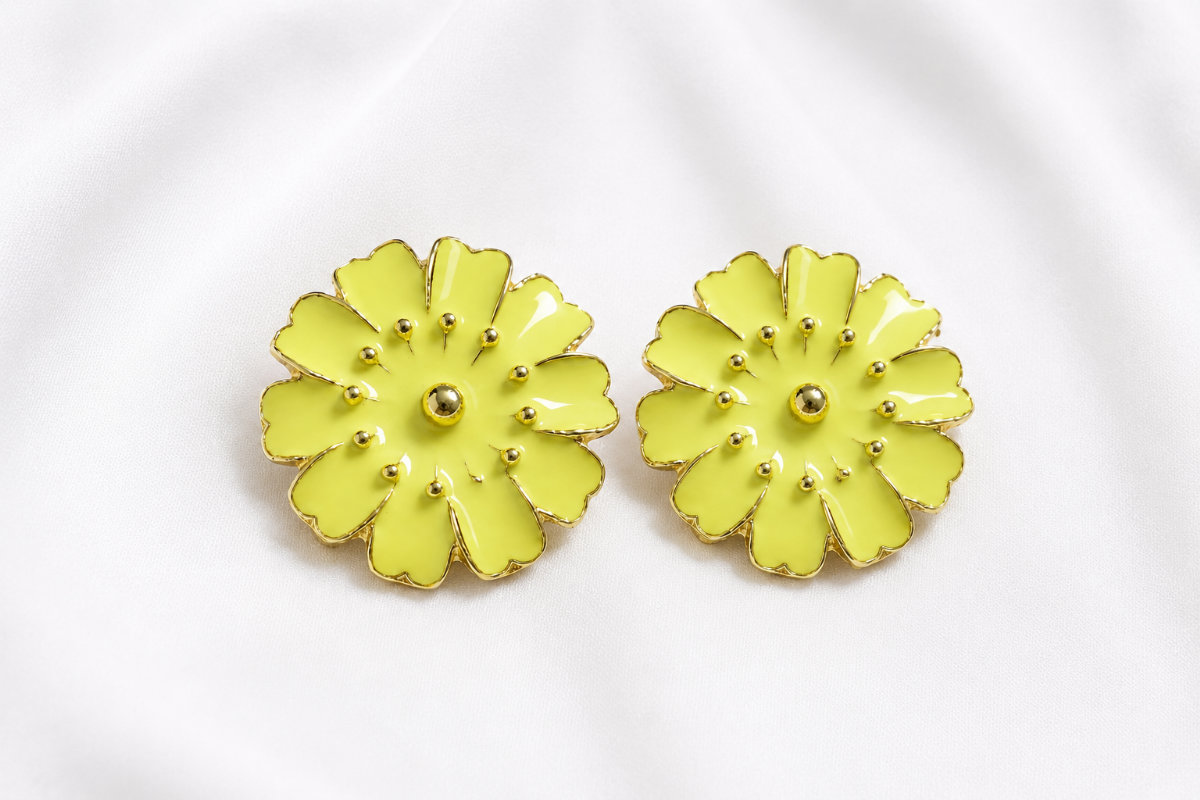 Aretes Brasileros de color 4